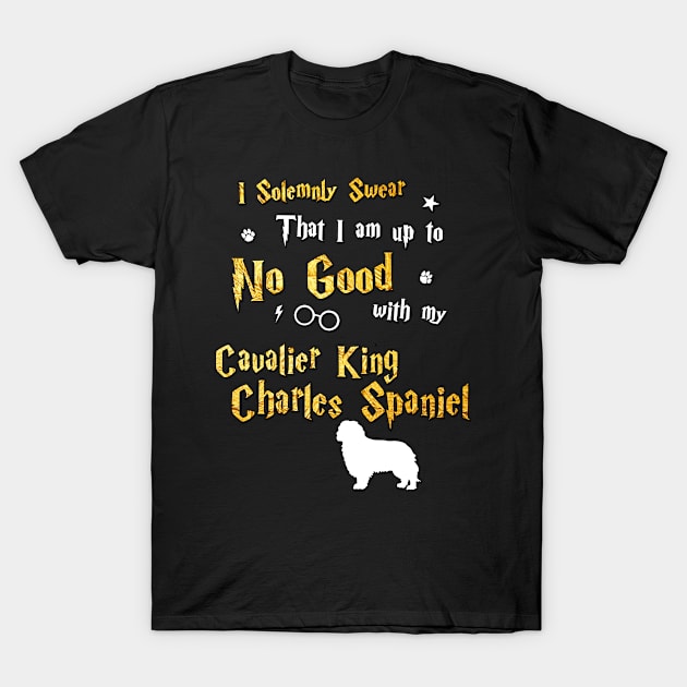 Cavalier King Charles Spaniel T-Shirt by dogfather